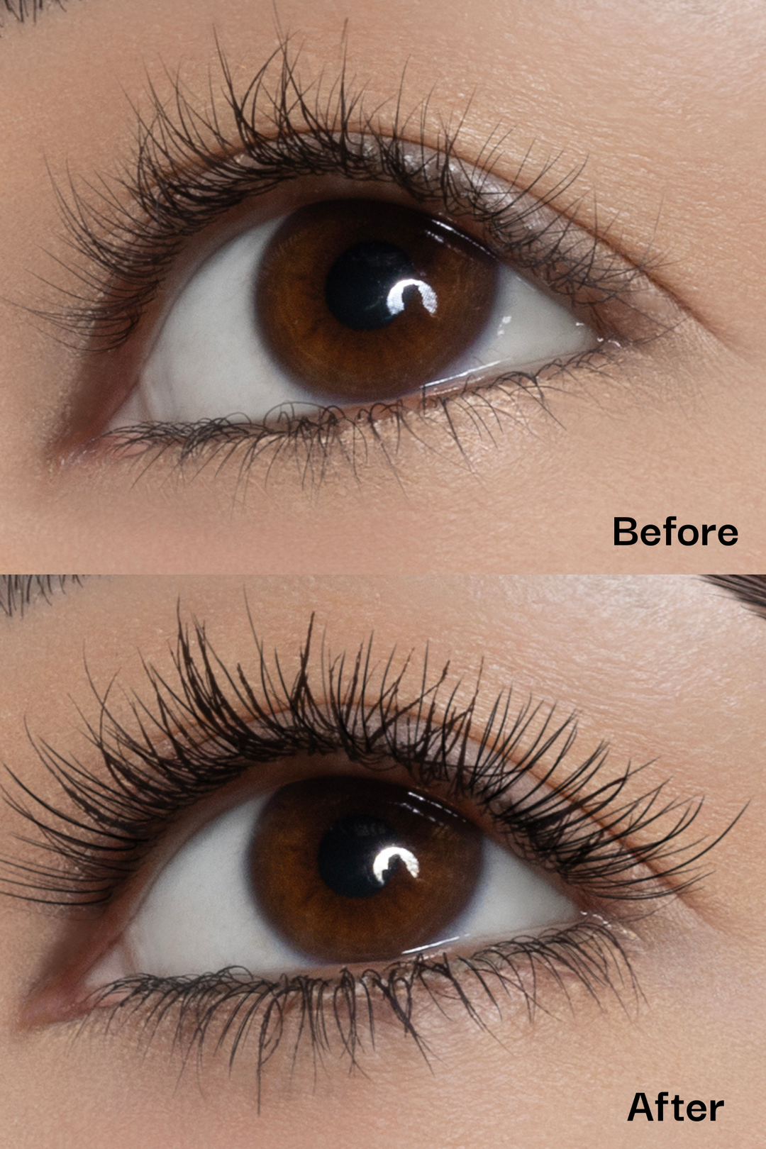 HD Mascara